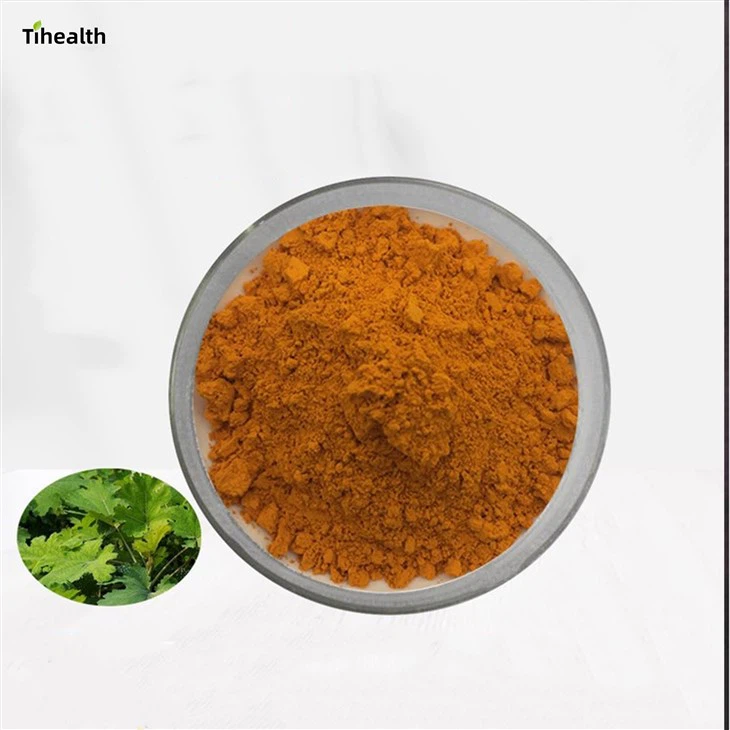 Macleaya Cordata Extract suppliers