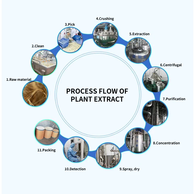 Extraction Process Flow Barley Fiber Production Process